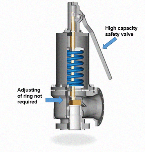 EPV 8 Large Sizes V, W – API 526 - Elite Flow Control UK Limited